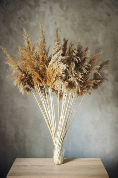 istock dry flowers braided with cobwebs on a brick wall background 1268932331