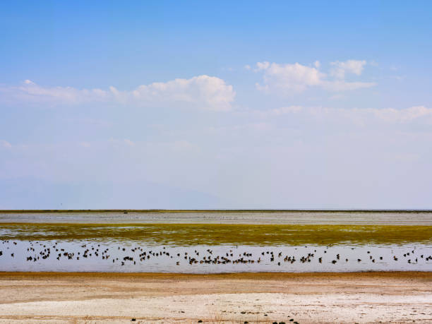 The Great Salt Lake in Northern Utah near Antelope Island.