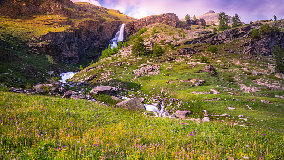 Ethereal falls and wildflowers meadow at springtime  – Gran Paradiso Alps – Italy