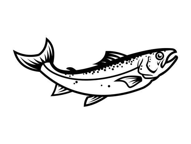 Salmon fish silhouette - cut out vector icon Salmon fish silhouette. Cartoon salmon character mascot - outline cut out vector icon catching illustrations stock illustrations
