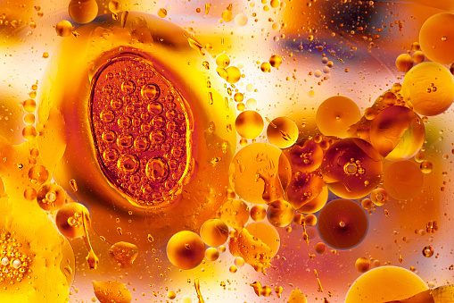closeup of belly against bright background. orange bubbles of oil. bubbles of soapy foam. examination of analyzes under a microscope. texture of bright bubbles. bubbles of lemonade and soda. bubbles in the bathroom and in the sink. chemical experiment with liquids