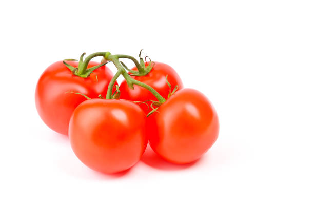 Tomatoes on a green branch on a white background. Fresh bright delicious tomatoes.