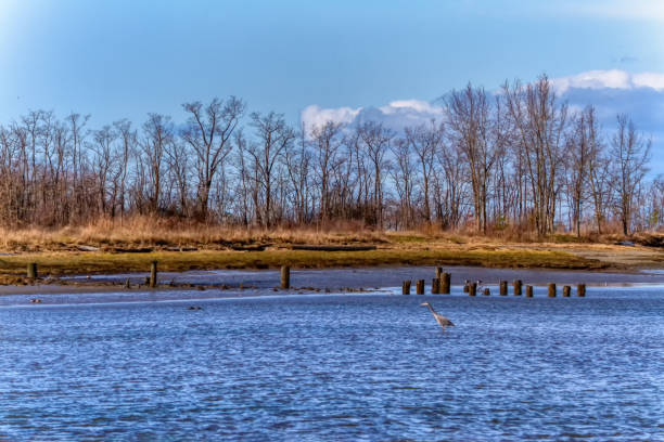 istock winter view of a park by sea 1268953520