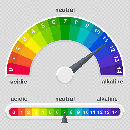 pH value scale meter for acid and alkaline solutions vector isolated on transparent background illustration