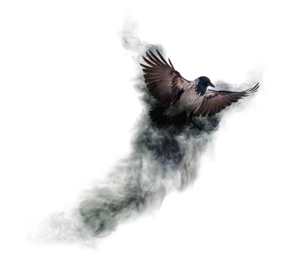 istock crow flying from dark grey smoke on white 1268983863