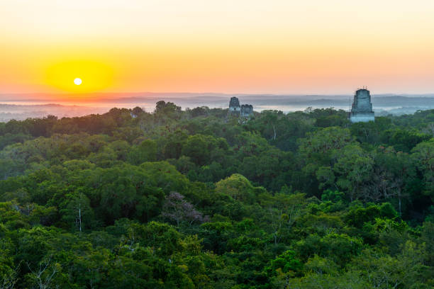 istock Tikal Pyramids Sunrise, Guatemala 1268983910