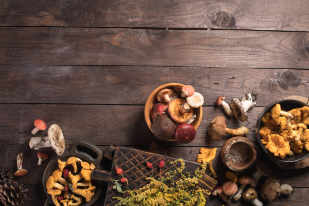 Autumn harvest of mushrooms on vintage rustic wooden background. Rustic kitchen table. Flat lay top, top view . Layout with free text space. Forest harvest concept. stock photo