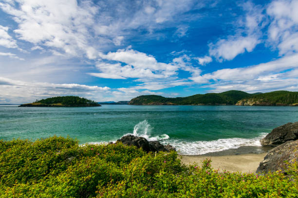 Deception Pass State Park A beautiful Spring day overlooking the beach at Deception Pass washington state coast stock pictures, royalty-free photos & images