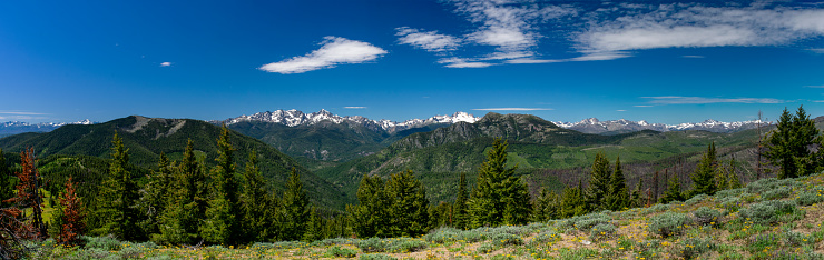 North Cascade Mountain Range, North Cascade National Park, Washington in Summer.