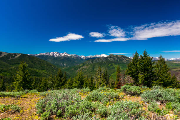 North Cascade Mountains Beautiful view of North Cascade Mountain Range, Washington, USA north cascades national park cascade range waterfall snowcapped stock pictures, royalty-free photos & images