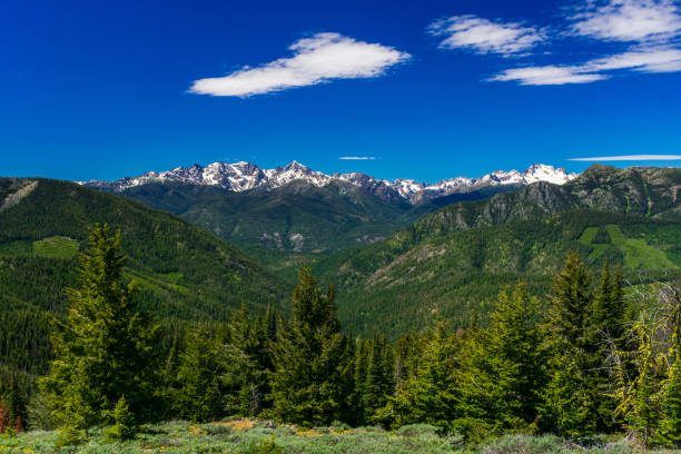 North Cascade Mountains Beautiful view of North Cascade Mountain Range, Washington, USA north cascades national park cascade range waterfall snowcapped stock pictures, royalty-free photos & images