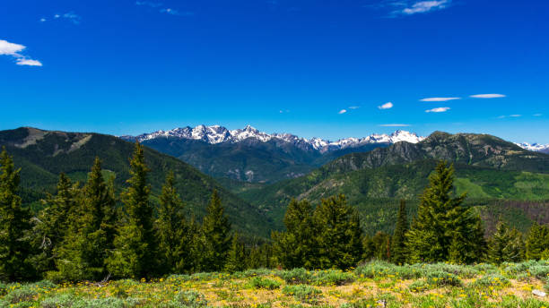 North Cascade Mountains Beautiful view of North Cascade Mountain Range, Washington, USA north cascades national park cascade range waterfall snowcapped stock pictures, royalty-free photos & images