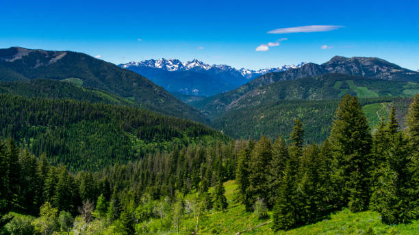 North Cascade Mountains Beautiful view of North Cascade Mountain Range, Washington, USA north cascades national park cascade range waterfall snowcapped stock pictures, royalty-free photos & images