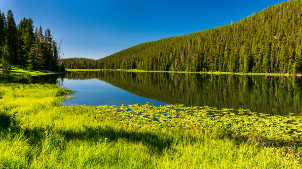 istock Twin Lake, Yellowstone National Park 1268991739