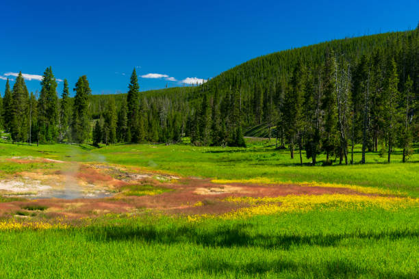 istock Clearwater Springs, Yellowstone 1268991808
