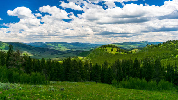 istock Yellowstone National Park View 1268991953
