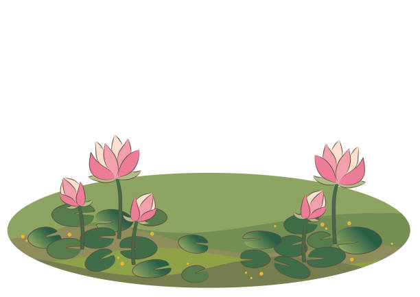 Ảnh Phong Cảnh Ao Sen Hình minh họa Sẵn có - Tải xuống Hình ảnh Ngay bây  giờ - Hình mẫu - Kỹ thuật minh họa, Lotus Pond - Bali, Ao - iStock