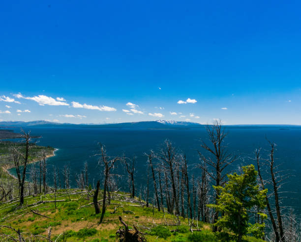 istock Yellowstone Lake Landscape 1268995810