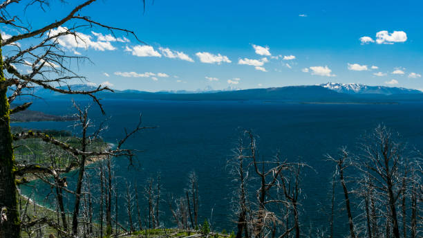 istock Yellowstone Lake Landscape 1268995869