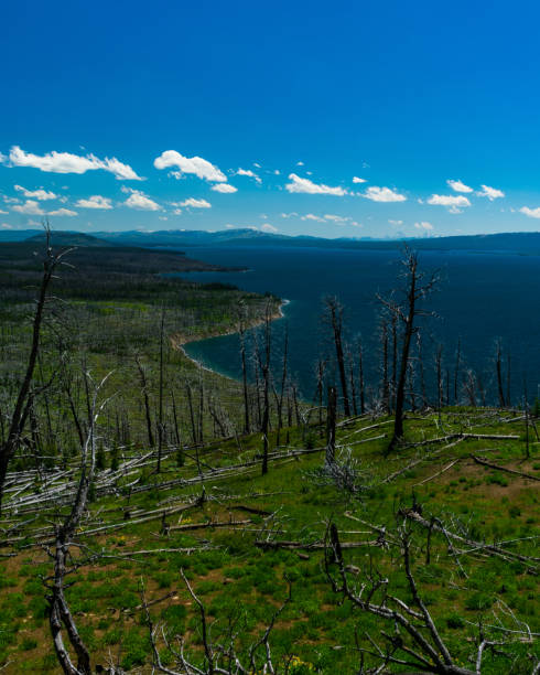 istock Yellowstone Lake, Yellowstone National Park 1268995925