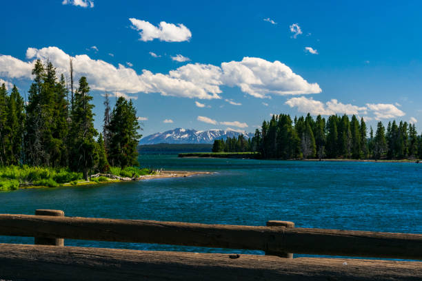 yellowstone river - montana summer usa color image stock-fotos und bilder