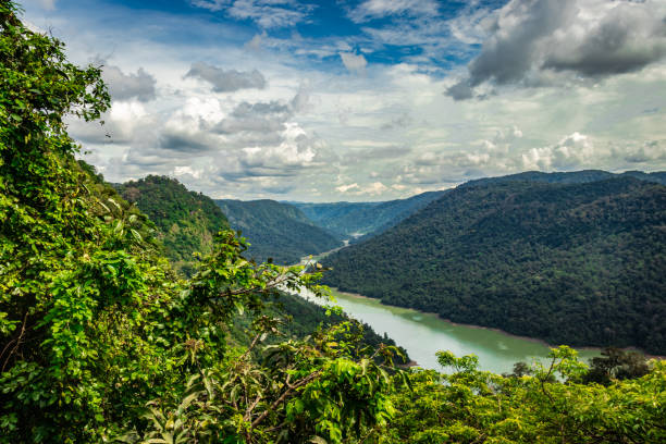 istock western ghat amazing dense greenery with leading river 1268997794