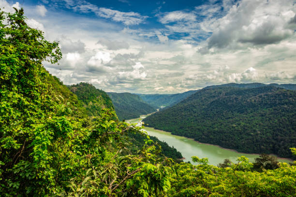 istock western ghat amazing dense greenery with leading river 1268997797