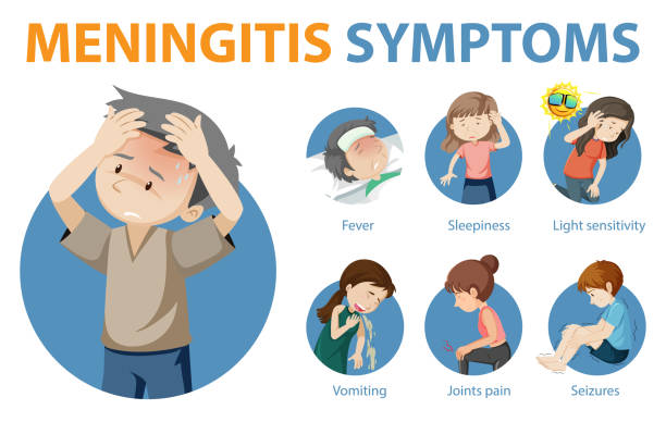 ilustrações, clipart, desenhos animados e ícones de sintomas de meningite estilo desenho animado infográfico - meningite