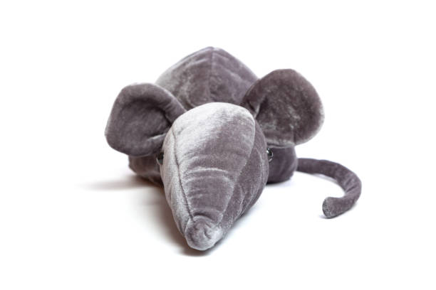 istock Soft toy of  gray rat on white background 1269017194