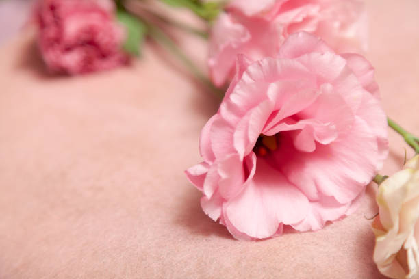 istock Bouquet of eustoma flowers on a delicate pink background 1269018073