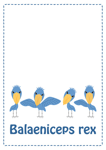 Khashbilokou Illustration Set (Postcard) Vector shoebill stork owl Balaeniceps rex illustration set (postcard) vecto