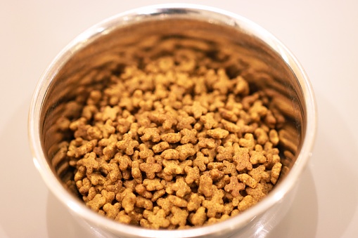Dry dog food in bowls