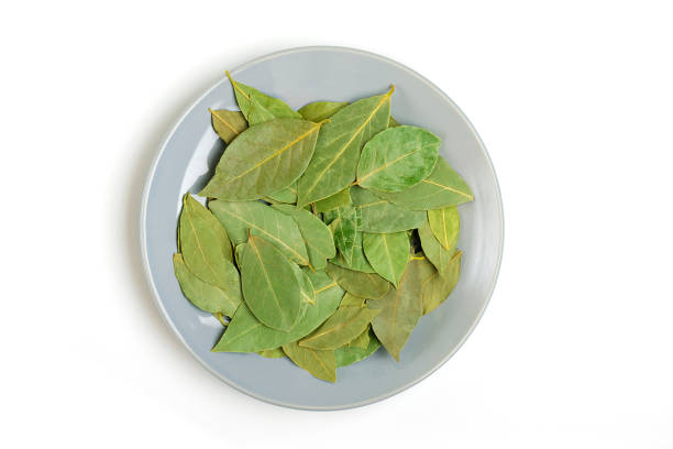 istock bay leaf on a gray plate isolated on white background Flat lay Top view Used as spice in cooking Healthy food 1269020631