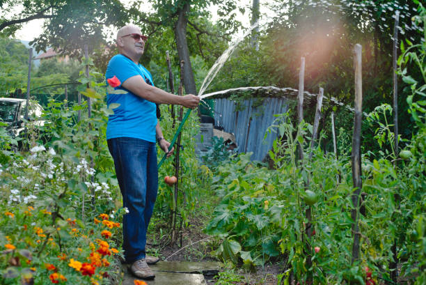 istock A Man Waters His Garden 1269021889