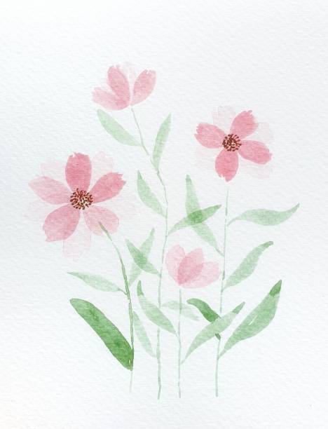 istock Watercolor flowers 1269028307