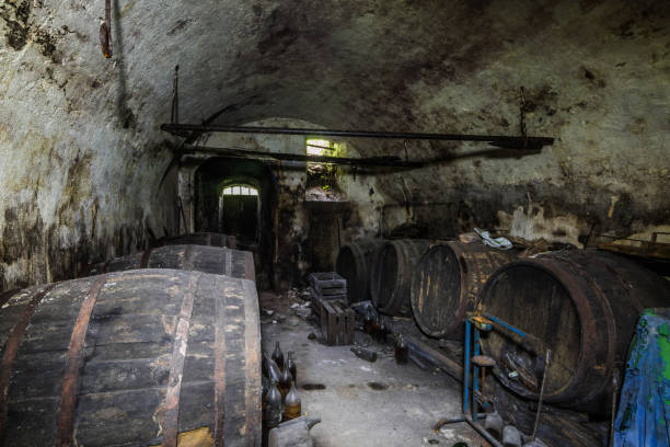 istock cellar vault and many vine barrels 1269033259