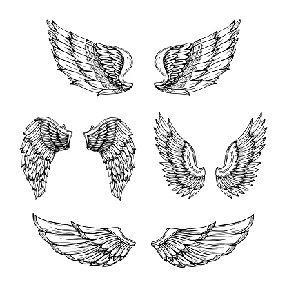 Hand Drawn Wing Sketch Angel Wings With Feathers Vector Tattoo Design  Isolated Stock Illustration - Download Image Now - iStock