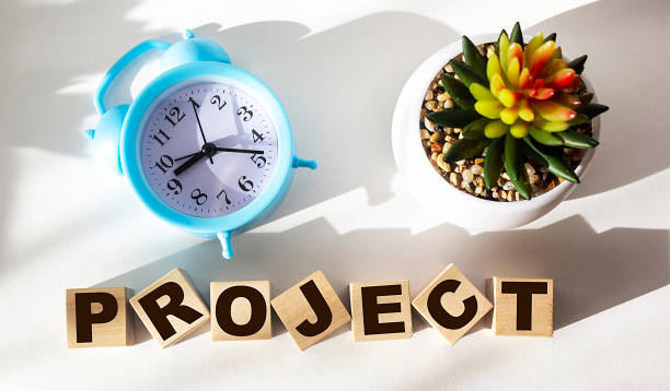 istock Project word letters on wooden blocks on white table with alarm clock and cactus. Project Marketing Business Startup Risk Management Concept. 1269036351