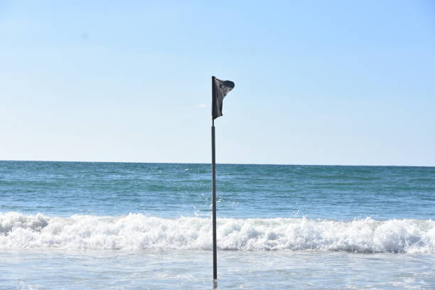 istock Black flag at sea 1269037343