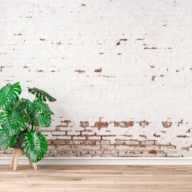 istock Empty ruined white brick wall background with potted plant left stock photo 1269037476