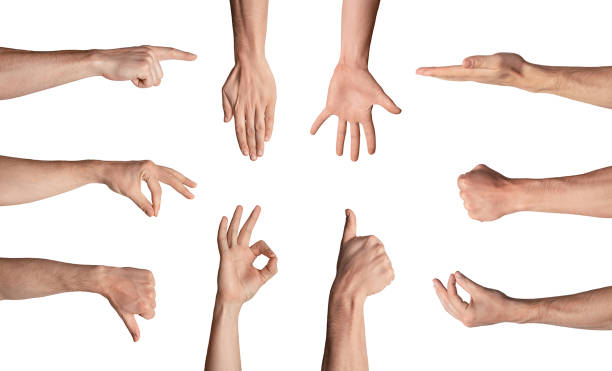 istock Collage with unrecognizable man showing various gestures isolated on white 1269039762