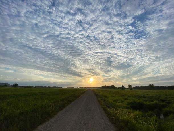 istock Sun rising on a green rice field landscape on a rural pathway 1269045541