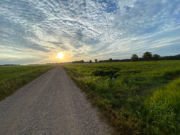 istock Sun rising on a green rice field landscape with straight rural pathway 1269045582