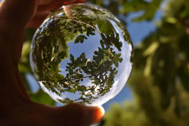 Splendid photos through lensball, the world seen from another perspective