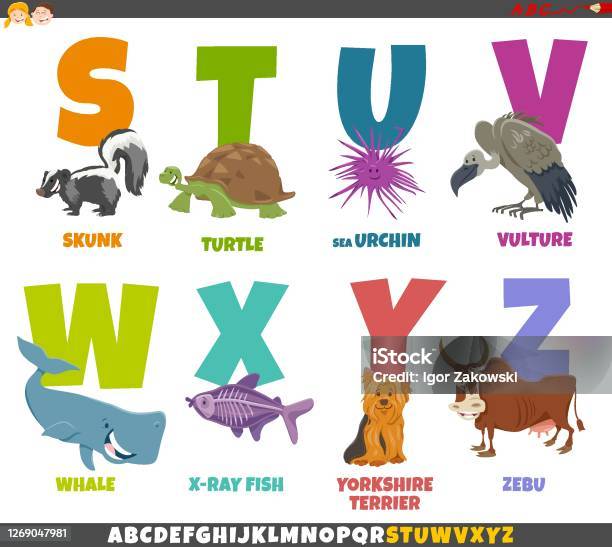 Educational Cartoon Alphabet Set With Animal Characters Stock Illustration  - Download Image Now - iStock