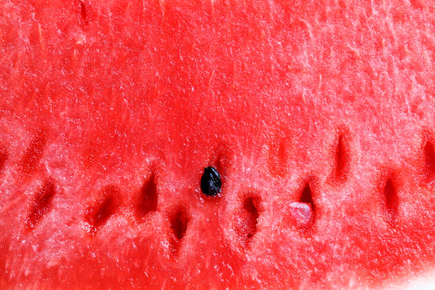 istock pieces of red watermelon 1269049229