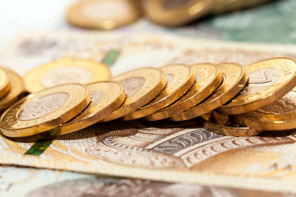 istock Polish zlotys 1269049795