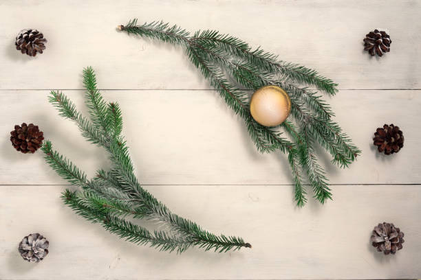 istock christmas festive background with fir branches 1269063394