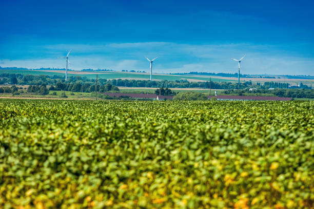 A wind turbine farm produces green energy, supporting eco-friendly practices and sustainable technology in nature.