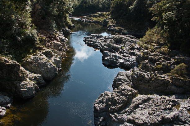 fiume pelorus nella riserva panoramica del ponte del peloro, regione di marlborough sull'isola del sud della nuova zelanda - marlborough region zealand new new zealand foto e immagini stock